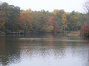 colorfulreflection.jpg