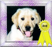graham3rdplace.jpg