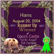 hansaward2.jpg