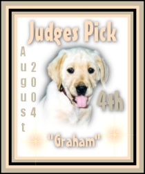 award_graham.jpg