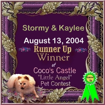 stormyrunnerup.jpg